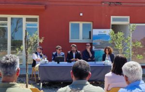 Consorzio di Torre Guaceto e Fondazione Sylva: la riforestazione volano di sviluppo sociale