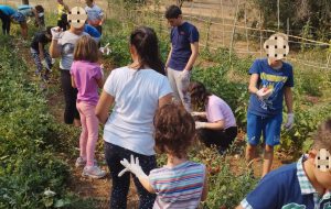 Consorzio BR4: avviso pubblico per l’organizzazione dei laboratori estivi