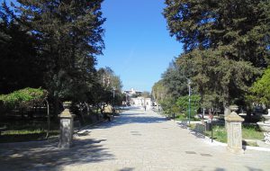 Marcia per la Pace, contro tutte le guerre: sabato 11 maggio l’iniziativa alla Villa Comunale di Mesagne