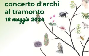 Oggi camminate nella biodiversità tra gli ulivi millenari e concerto d’archi a Lago Forcatella