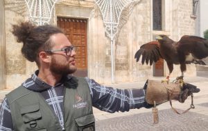 San Michele Salentino, falconeria e collaborazione dei cittadini: strategie efficaci per contrastare l’invasione dei colombi