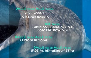 9 giugno, Giornata Mondiale degli Oceani: pomeriggio di attività al Marina di Brindisi