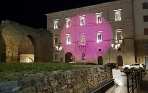 Giornata mondiale patologie eosinofile: ESEO Italia: a Brindisi illuminato di magenta Palazzo Narvegna