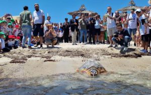 Al via l’estate 2024 di Torre Guaceto: inaugurati i servizi