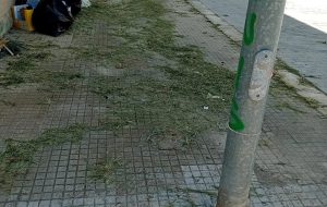 Dopo la segnalazione, arriva lo sfalcio ma nessuno raccoglie… e il vento disperde l’erba