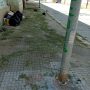 I residui dello sfalcio di erba vanno eliminati in fretta  dalle strade e dai marciapiedi. Di Vincenzo Albano