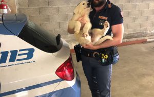 #senontiportononparto: lo spot della Polizia di Stato contro l’abbandono degli animali