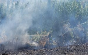 Canale Patri: i Vigili del Fuoco domano le fiamme e eseguono le operazioni di bonifica. Adesso si indaghi sulle responsabilità