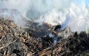 Incendio Canale Patri, Quarta: “mettere fine alla pericolosa inerzia, occorre trasparenza e responsabilità da chi ricopre ruoli istituzionali”