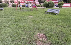 Giostre per bambini sparite dagli spazi verdi, Luperti e Greco: “che fine hanno fatto?”