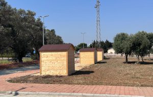 PD Brindisi: “Colpevole inerzia dell’amministrazione comunale su orti urbani e didattici”