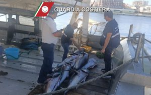 Sequestrati 300 chilogrammi di tonno pescati illegalmente
