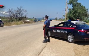 In casa una serra per la coltivazione di marijuana: arrestato 23enne