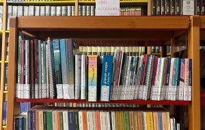 Una donazione personale del Sindaco Silvana Errico permette l’apertura di una sezione interamente dedicata ai libri in formato accessibile