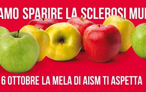 Facciamo sparire la Sclerosi Multipla con la mela di Aism: tutti i punti in Provincia di Brindisi