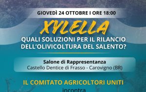 Xylella, quali soluzioni per il rilancio dell’olivicoltura del Salento? domani incontro pubblico a Carovigno