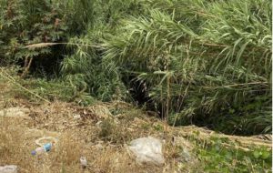 Canale Inferno, avviato l’intervento di pulizia e di messa in luce del letto. E Quarta attacca gli ex assessori