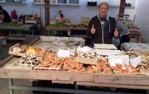 Dai boschi alla tavola: la sicurezza prima di tutto quando si tratta di funghi. I consigli per un consumo sicuro. Di Giada Amatori