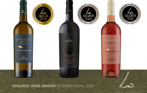 Nuovo successo dei vini “Lu Spada” all’Organic Wine Award International