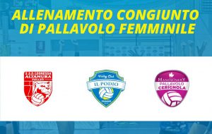 Ultimo test precampionato al palazzetto di Vignamarina per la Pantaleo Podio Volley Fasano.