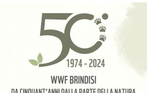 Controlli straordinari interforze ad Erchie e Torre Santa Susanna