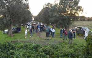 Da Serinelli (RinnoviAMO Torchiarolo) un richiamo urgente alla lotta contro la Xylella