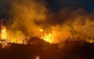 Incendio al chiaro d’acqua più grande di Torre Guaceto: si teme il dolo