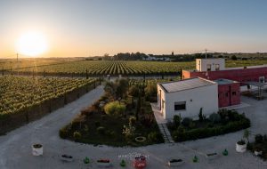 Cantina Lu Spada nella guida vini Vitae 2025