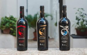 Otri del Salento: tradizione, innovazione e cultura enogastronomica nel cuore del Salento