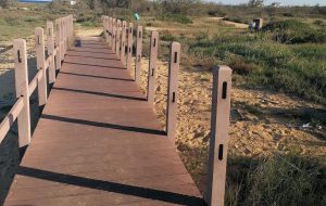 Trafugate le palizzate del pontile del Parco di Punta Penne-Punta del Serrone: la condanna del Partito Democratico di Brindisi