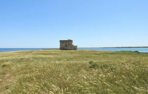 Abbattuta casa abusiva all’interno della riserva di Torre Guaceto