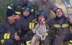 I Vigili del Fuoco salvano cane caduto in un pozzo