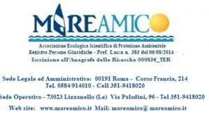 Brindisi ospita la XXXII Rassegna del Mare: gli eventi dal 13 al 14 dicembre 2024