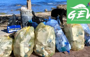 Giovani Europeisti Verdi: due giornate di pulizia sulle spiagge del litorale Brindisino