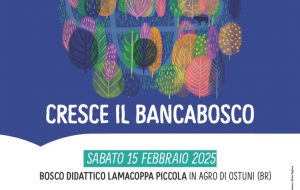 La Banca di Credito Cooperativo di Ostuni e i Giovani Soci: Nuova tappa del progetto “Banca Bosco” per la rigenerazione ambientale