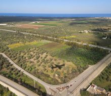 San Vito dei Normanni sostiene il riconoscimento del Salento come “Area Svantaggiata” o “Area di Crisi Agricola”