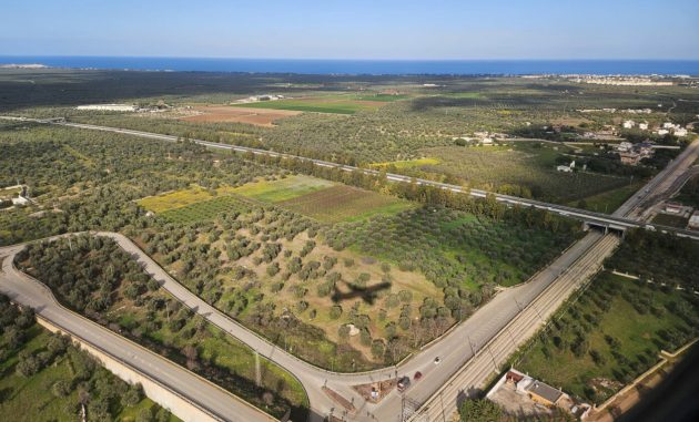 San Vito dei Normanni sostiene il riconoscimento del Salento come “Area Svantaggiata” o “Area di Crisi Agricola”