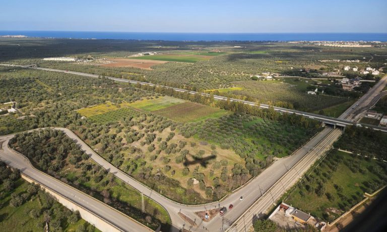 Alpaa e Slow Food insieme a San Pietro per “Dalla Terra alla Tavola”