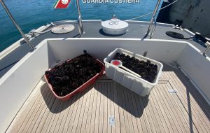 Sub a pesca illegale: sequestrati 1000 ricci di mare
