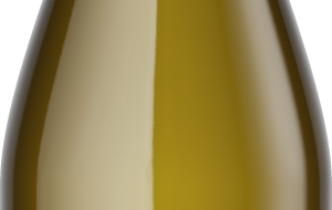 Produzione di un vino bianco da Negroamaro con la tecnica dell’iper-ossigenazione: una visione rivoluzionaria per il futuro del vino da Cantine Due Palme