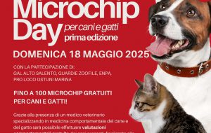 Free microchip day per cani e gatti a Ostuni