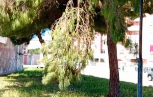 Il pericolo viene dall’alto. Di Vincenzo Albano