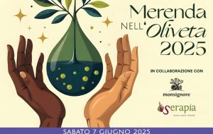L’olio Che Unisce: Fasano celebra la “Merenda nell’oliveta” 2025 al frantoio Monsignore