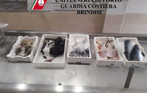 Prodotto ittico privo di etichette: scatta sanzione ad una pescheria di Latiano