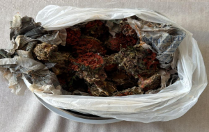 Frutti di mare di dubbia provenienza: multato ristorante di Latiano