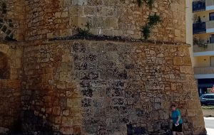 Il Bastione Aragonese di Porta Mesagne catturato dalle erbacce. Di Vincenzo Albano