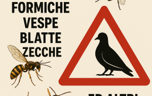Il ritorno di zanzare, mosche, formiche, vespe, blatte, zecche ed altri insetti. Di Vincenzo Albano