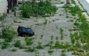 I marciapiedi-aiuola: la nuova frontiera del degrado. Di Vincenzo Albano