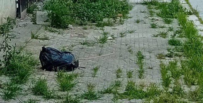 I marciapiedi-aiuola: la nuova frontiera del degrado. Di Vincenzo Albano