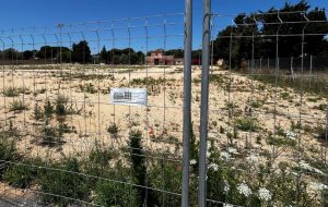 Parcheggio del G7, martedì in Consiglio la variante urbanistica. Ma la situazione è tutt’altro che fluida